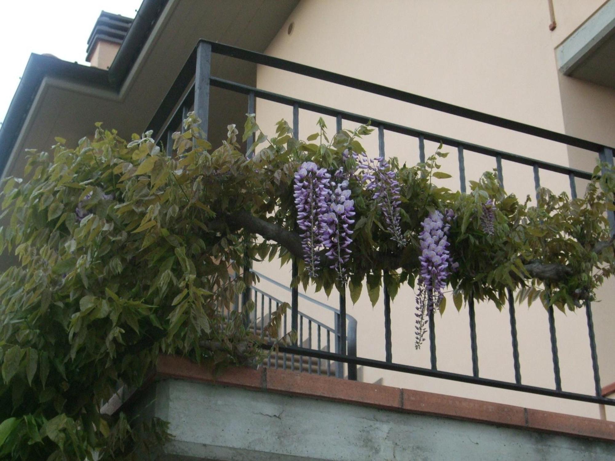 B&B La Casa Di Zefiro Limite Exterior foto